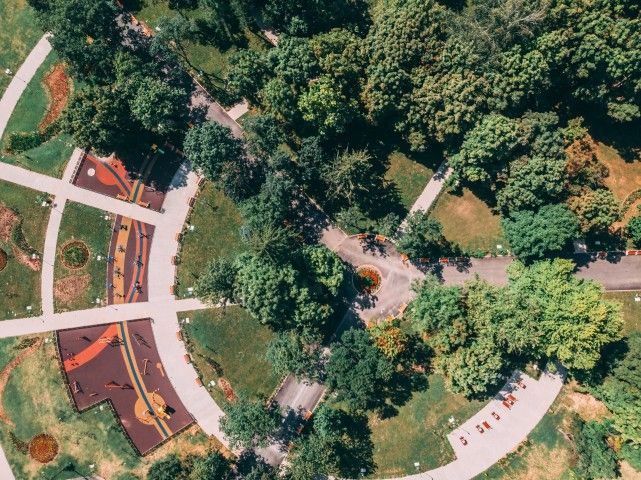 Започва пръскането на тревните площи срещу паразити