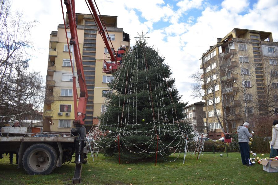 Коледната елха грейва на Никулден